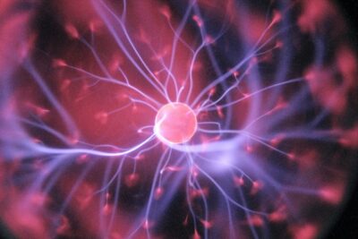 What Is the Smallest Unit of Life